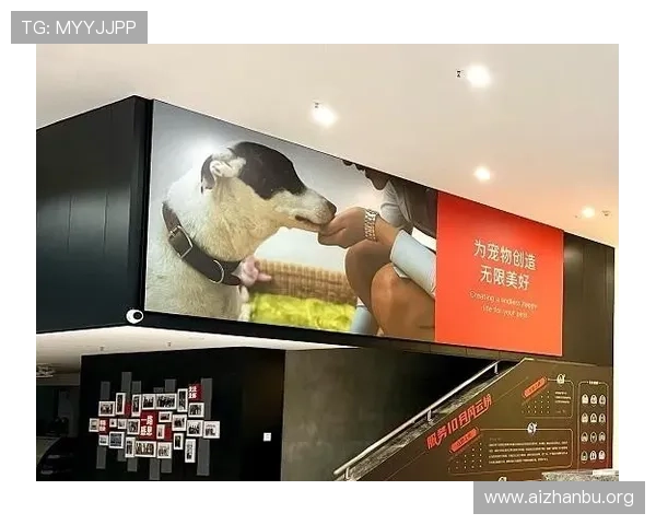 千亿球友会官网入口在哪获取最全登录渠道和使用攻略